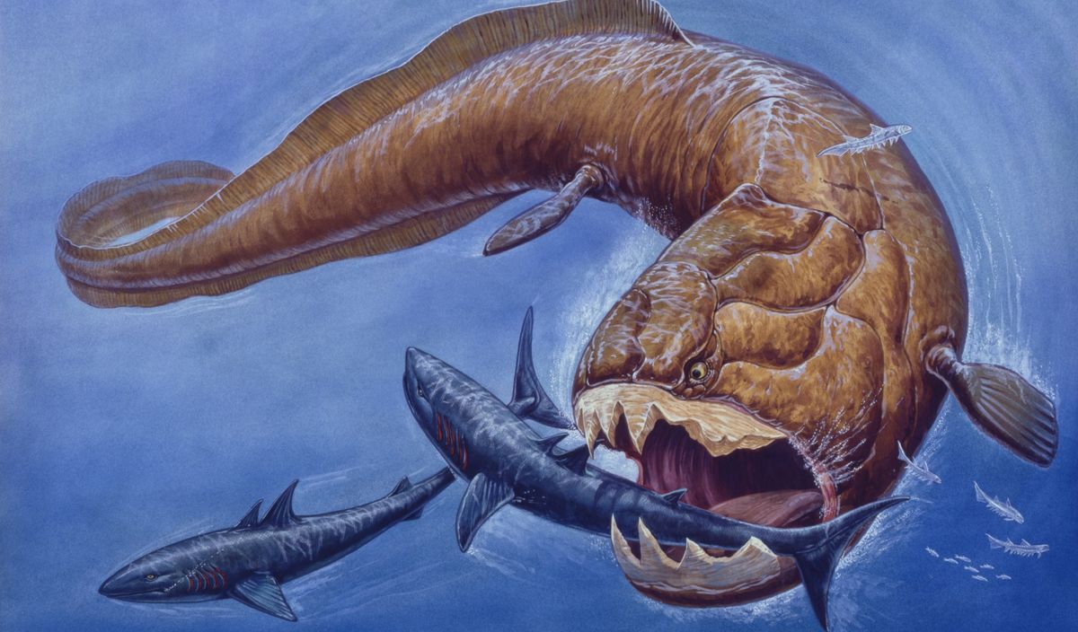 Prehistoric Marine Life Found