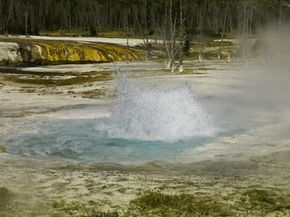 黄石国家公园沸腾的间歇泉附近可能潜伏着一些极端微生物。＂border=