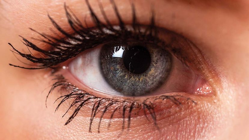 Close-up detail of a woman's eye.