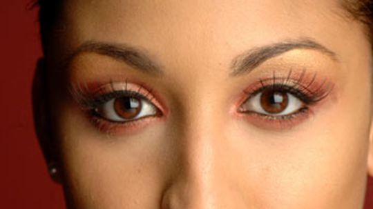 Eyelash Strips vs. Individual Lashes: Which is right for me?