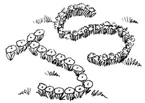 让你的孩子你玩时,发送一条消息,该消息带有花朵的信。”width=