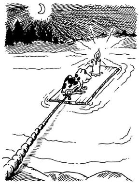 ©2007 Publications International, Ltd.                                      Build a frog raft, and see if you get passengers.