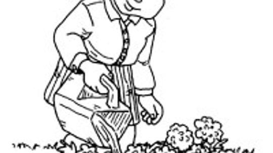 Easy Outdoor Activities for Kids