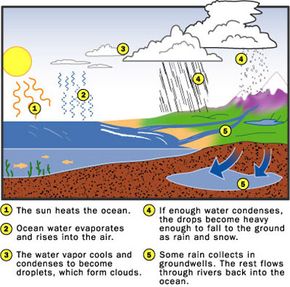 The basics of the water cycle.
