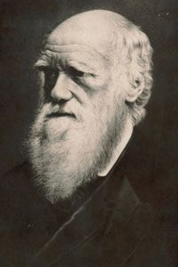 Charles Darwin花了39年的学习拙劣的蚯蚓，并得出结论，他们对地球的流程非常有价值。“width=