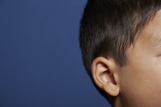 Where does earwax come from?