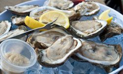 plate of oysters