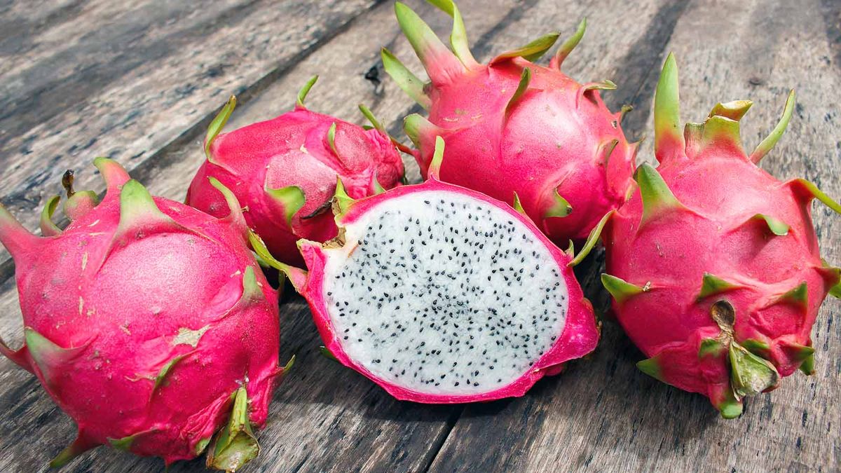 Dragon fruit фото