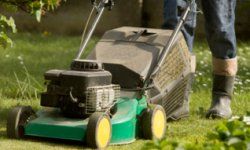 How much do you know about eco-friendly lawn care?