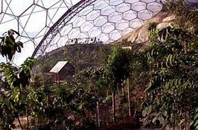 An inside view of the Humid Tropics Biome, the centerpiece of the Eden Project