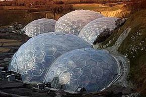 eden project case study