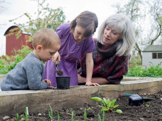 Everything You Ever Wanted to Know About the Edible Schoolyard
