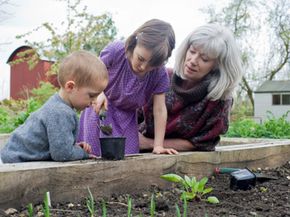 gardening