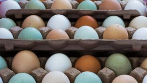 eggs, colors