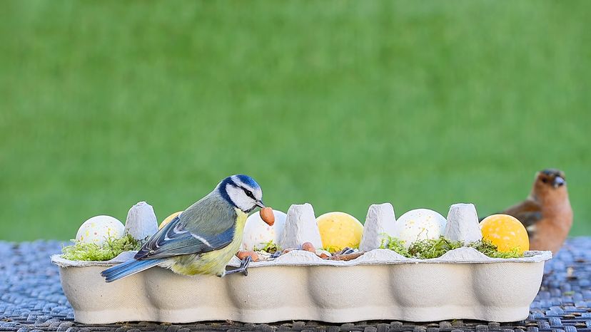 Edge Rectangle Nesting Storage Containers with Lids - Blue Jay