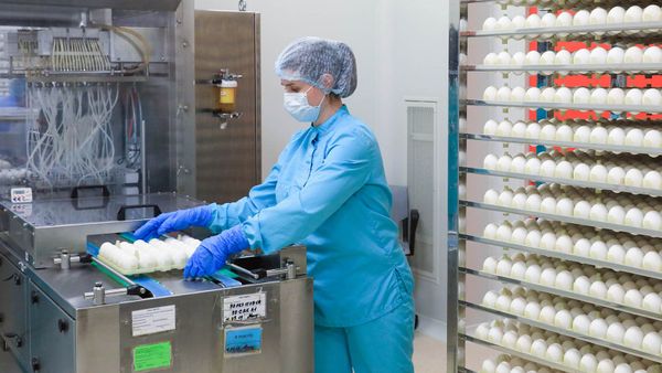 Can You Get a Flu Shot if You Have an Egg Allergy?