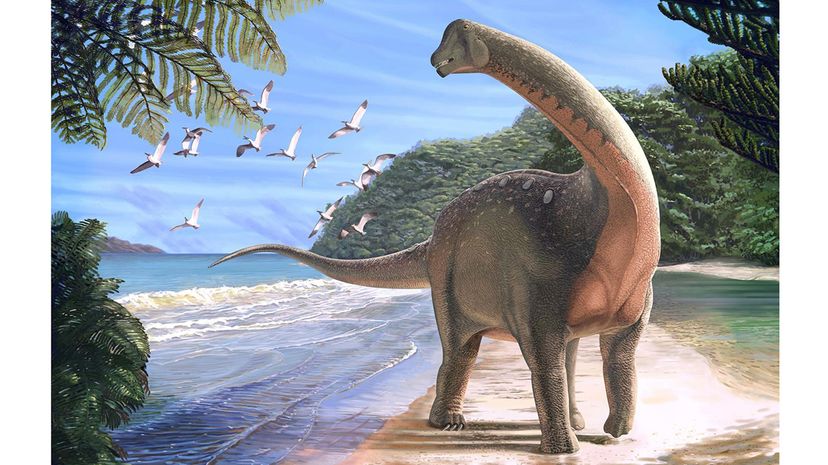 titanosaurian dinosaur Mansourasaurus shahinae