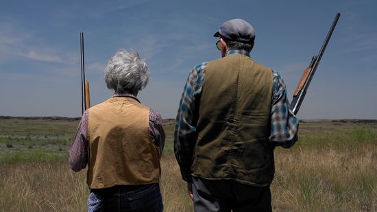 老年痴呆和枪支的“完美风暴”＂class=