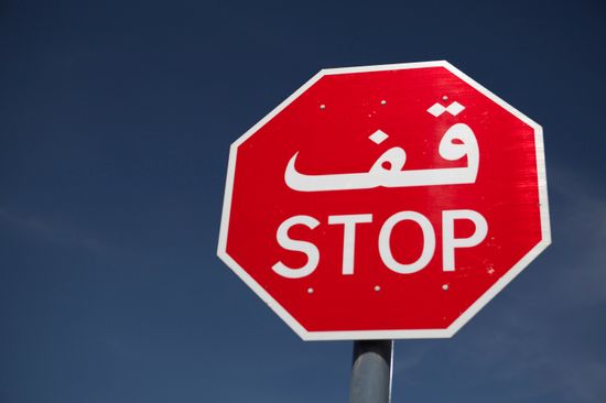 How Electronic Language Translators Work
