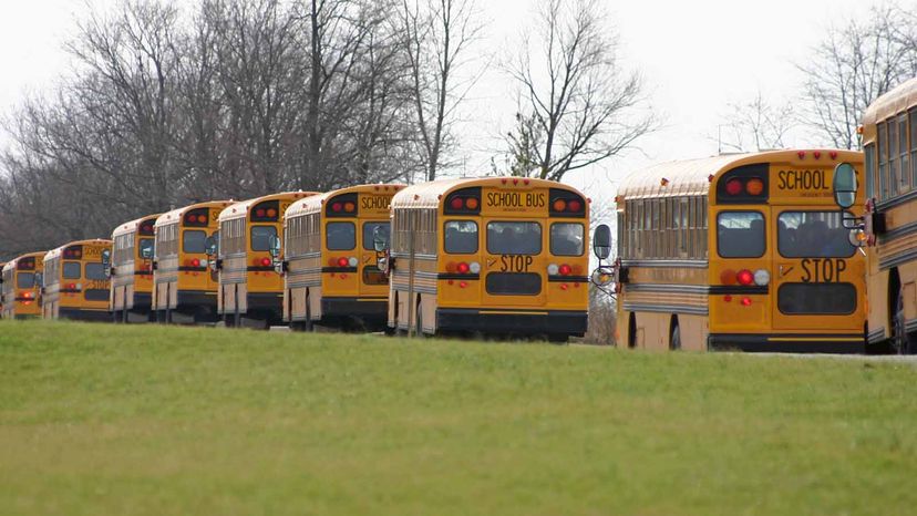 school buses