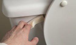 Don't just try to flush away a problem with blood in the urine or feces -- it could be a sign of a serious condition.