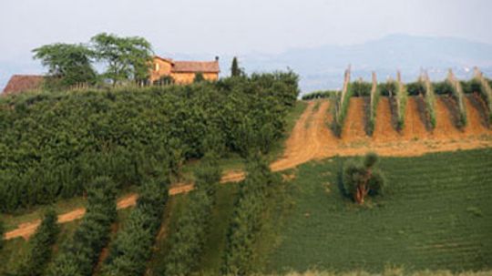 Ultimate Guide to the Emilia-Romagna Wine Region