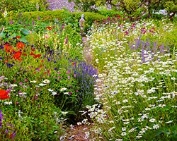Lush English gardens are a popular style for backyards.