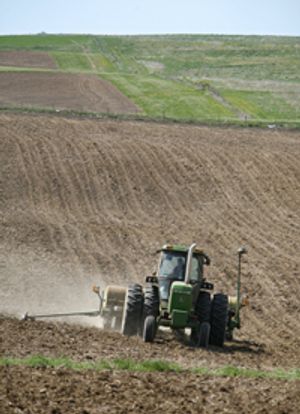 Farmer planting corn