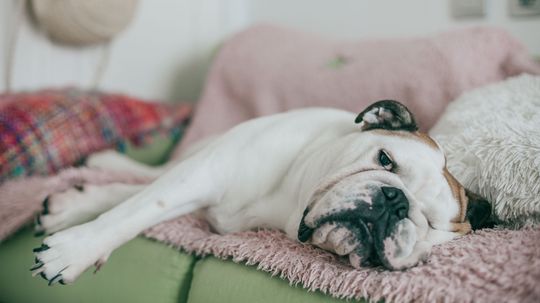 Embracing Ennui: How Boredom Can Be Good for You