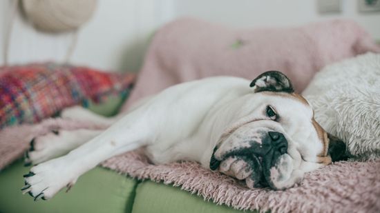 拥抱倦怠:无聊可以对你有好处18新利最新登入