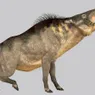 Scary Prehistoric 'Hell Pigs' Once Roamed the Earth