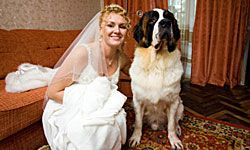 bride and dog