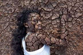 Woman's skin blending in with background environment.