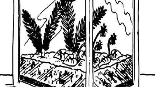 Environmental Activities