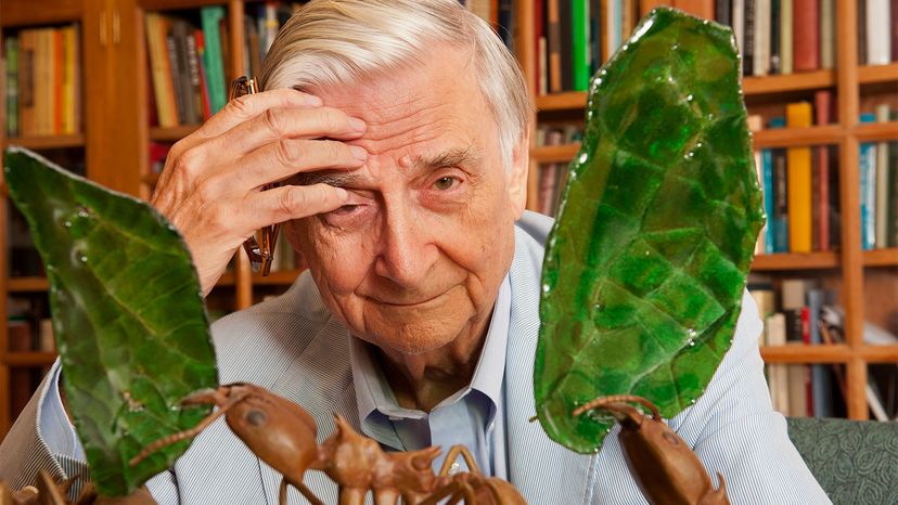 E.O. Wilson