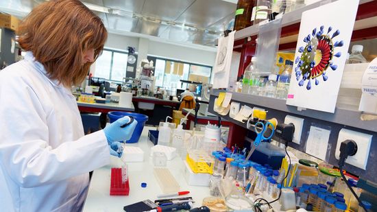 Epidemiologists Are the 'Disease Detectives' Protecting Public Health