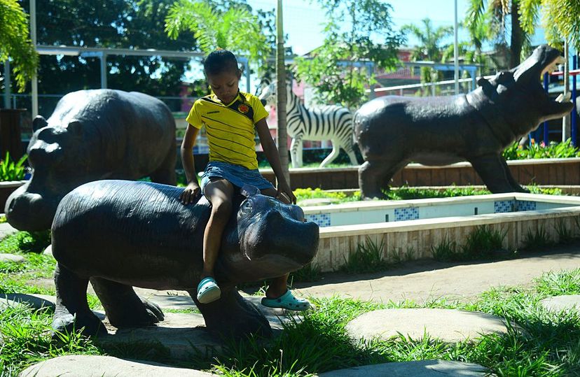 boy on model hippo