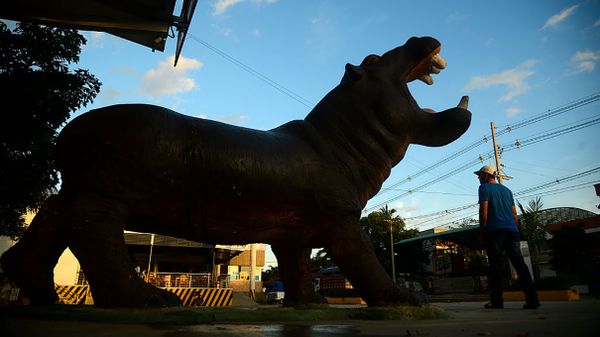 silhouette of a model hippo against the sky in a colombian town