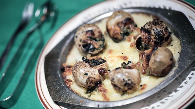 The Escargot Revolution: How Snails are Changing the Food Industry