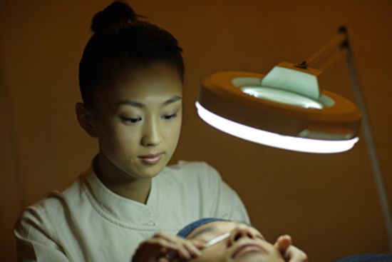 How Esthetics School Works