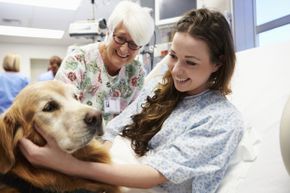 Bringing animals to visit hospitalized patients is one of many aspects of an animal therapist's job.