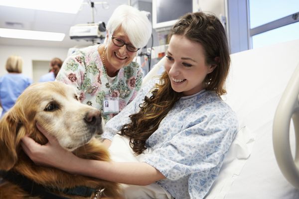 Bringing animals to visit hospitalized patients is one of many aspects of an animal therapist's job.