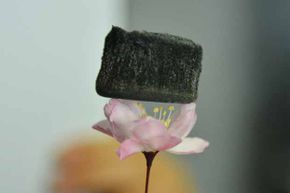 一个由气凝胶制成的碳海绵放在这朵樱花上。虽然它比氦轻，但它可以吸收250-900倍于自身质量的油。”border=