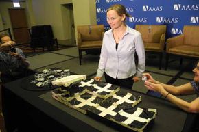 Kirstin Petersen, an academic fellow in artificial intelligence at Harvard University, demonstrates robots inspired by termites at the American Association for the Advancement of Science meeting in Chicago in 2014.