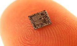 Computer brains (or chips) have diminished in size -- some powered by just five atoms, and one-atom developments about 10 to 20 years down the road.