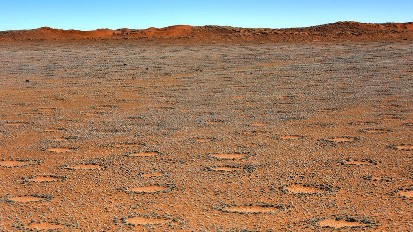 Fairy circles in the Namib desert 