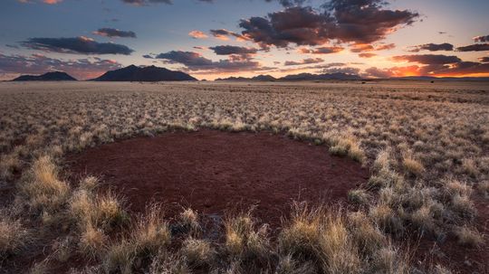Is the Mystery of Namibia's Fairy Circles Finally Solved?