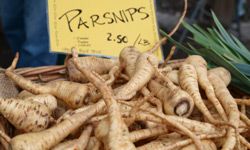 You can substitute parsnips for carrots in baking for a different taste.