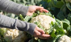 Don't overcook your fresh cauliflower -- once you can stick it with a fork, it's ready for seasoning.