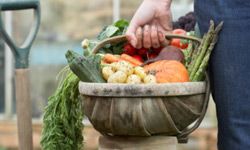 Fall harvest brings in loads of fresh goodies.